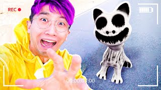 LankyBox Found ZOONOMALY 2 SMILE CAT In REAL LIFE ZOONOMALY 2 FULL GAMEPLAY  ALL JUMPSCARES [upl. by Button]