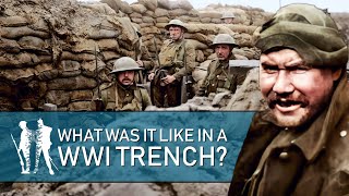 24 Hrs In The Trenches WW1 Documentary [upl. by Nallak254]