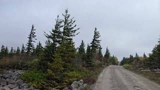 Dolly Sods 10324 [upl. by Ri]