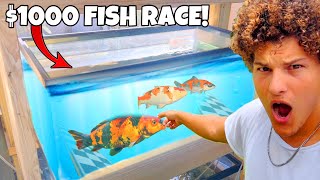 I Built RACE TRACK For My PET FISH 1000 Bet [upl. by Standley946]