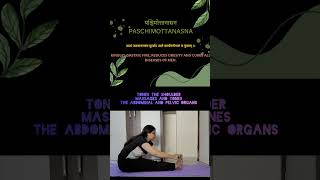 Paschimottanasana yoga hathyoga ayurvedaandyoga digestion obesity yogaasana [upl. by Kamp401]