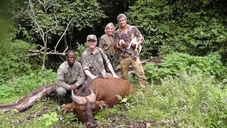 CAMEROON CAMEROUN 2014 Forest and Savanna Buffalo hunting chasse by Seladang [upl. by Smalley]