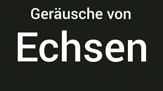 Geräusche von Echsen 🔊 [upl. by Sessilu]