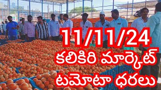 111124 Ananthapuram Tomato Market price Today  Today Tomato Market Rate in Ananthapuram today [upl. by Klein]