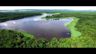 Lorraine Parc naturel regional from above  drone video  Visit Lorraine  EN [upl. by Nyltiac547]