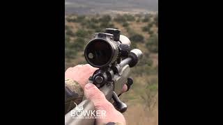 Unforgettable African Adventure Blesbok Hunting Expedition [upl. by Htebazle]