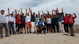 Chilenos disfrutan en Tacna con Gaviota Travel en el Tranvía Bus [upl. by Aenil]