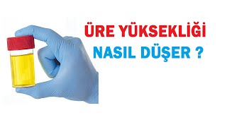 ÜRE YÜKSEKLİĞİ NASIL DÜŞER [upl. by Farrah553]