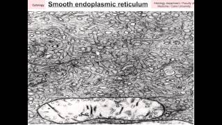 Cytology data show 2015 part1 [upl. by Aihceyt]