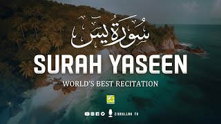 Amazing and Heart touching beautiful voice  Surah Yasin Yaseen سورة يس  Zikrullah TV [upl. by Annoirb]