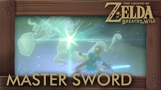 How to Recharge Master Sword IMMEDIATELY  Zelda Breath of the Wild [upl. by Dulcinea]