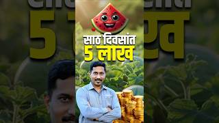 🍉 कलिंगड लागवड तज्ञांचा सल्ला उच्च गुणवत्तेसाठी काय करावे  agrostar  watermelon farming [upl. by Ahsael]