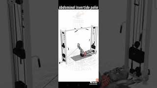 Abdominal infra polia [upl. by Lodge]