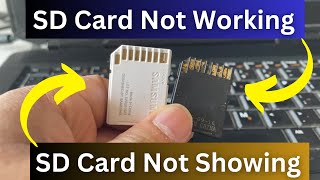 SD Card Not Showing Up or Working in Windows 1087 [upl. by Nairdad592]