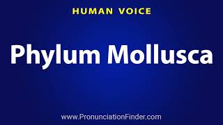 How To Pronounce Phylum Mollusca [upl. by Simona26]