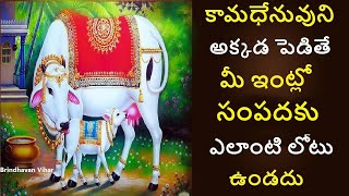 Importance of Kamadhenu at Home Gomata Pooja Devotional Story  కామధేను విశిష్టత Brindhavan Vihar [upl. by Saberhagen]