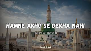 Humne Aankhon Se Dekha Nahi Hai Magar Slowed and Reverb  Naat  Tabeeb E Qalb [upl. by Setsero]