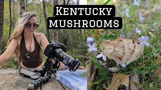 Kentucky mushroom hunting [upl. by Ulrick162]