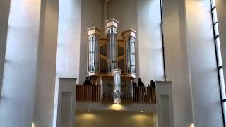 Hauptwerk orgel boaz kerk Sliedrecht 1 [upl. by Inavoig]