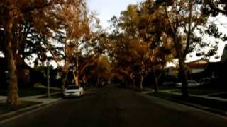 Stephen Malkmus  Baby CMon Official Video [upl. by Ajin]