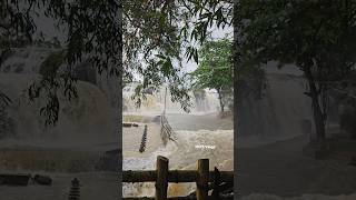 Thiruparappu Waterfalls  Thiruparappu Waterfalls Today 26102024  Thiruparappu Waterfalls Flood [upl. by Nahc]