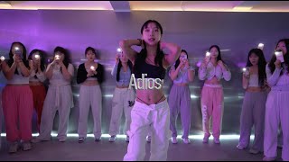 Hoody  Adios  Aphrodite Choreography [upl. by Veneaux]