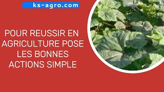 comment entreprendre dans lagriculture Il faut forcement trouver réponse a ces 8 questions [upl. by Mamie195]