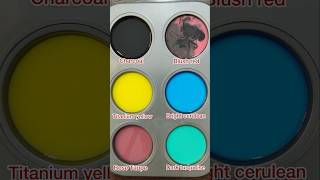 Satisfying color mixing Combining black with other colors colormixing viralvideos youtubeshorts [upl. by Oznola209]