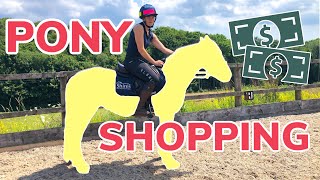 PONY SHOPPING  What we do when buying a new horse or pony amp meet my NEW PONY [upl. by Atinev]