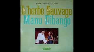 Manu Dibango  Aya 1977 [upl. by Nonnelg]