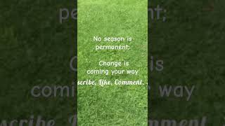 Seasons change youtubeshorts motivation life newchanges [upl. by Ellenor]