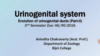 Evolution of Urinogenital ducts Part 2Bijni CollegeAssam [upl. by Ettelimay382]