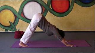 Flying Dog Pose  Yoga Exercise for strengthening your arms and shoulds  preparing headstand [upl. by Lesly174]