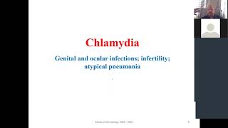 Leptospira and Chlamydia [upl. by Frodina]