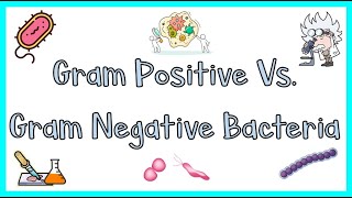 GRAM POSITIVE VS GRAM NEGATIVE BACTERIA  GRAM STAINING TECHNIQUE MADE EASY  EXPLAINED IN 5 MINUTES [upl. by Nednyl400]