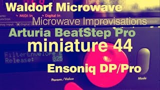 Arturia BeatStep Pro  Waldorf MICROWAVE  Improvisations  Miniature 44 [upl. by Rayburn685]