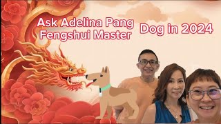 Dog in 2024 Ask Adelina Pang Get a Free fengshui Predictions and Forecast [upl. by Ahseem]