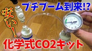 【アクアリウム】廉価版の化学式ＣＯ２キットを買ってみたよ！【おすすめ】 [upl. by Kerrie]