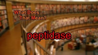 What does peptidase mean [upl. by Clementis897]