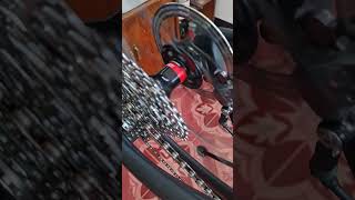 NOVATECH  D792SB HUB SOUND  gravelbike [upl. by Noivad]