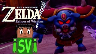 BACK TO HYRULE CASTLE  The Legend Of Zelda Echoes Of Wisdom  Episode 7 [upl. by Zelig]