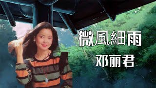 微風細雨《邓丽君，鄧麗君》with pinyin and eng lyrics [upl. by Burkhart416]