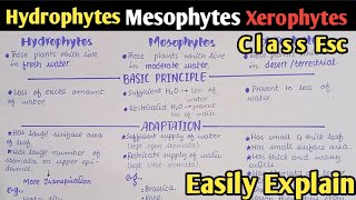 Osmoregulation In Plants Hydrophytes Mesophytes And Xerophytes  Class 12 Biology [upl. by Eicrad637]