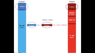 Anion Gap  Understanding the concept [upl. by Volotta]