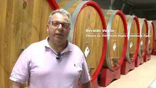 Cantina Veglio Michelino e Figlio  Sponsor Barolo e Castelli delle Langhe 2015 intervista [upl. by Quintessa]