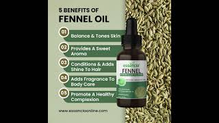 Essancia  🍃 Fennel Essential Oil 😊 [upl. by Hcardahs]