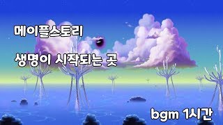 메이플스토리 생명이 시작되는 곳 bgm 1시간 [upl. by Naened854]