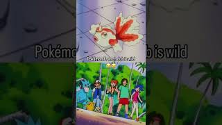 POKEMON FRENCH DUB pokemon french dubbed marvelous passionate [upl. by Icaj]