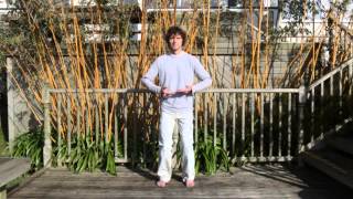 Shibashi Qigong  Move 18  Integration [upl. by Frodina]