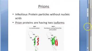 Microbiology 551 b Prion Disease PrPSc Protein Scrapie Sheep Kuru CJD Spongiform encephalopathy [upl. by Eissert]